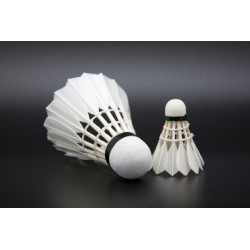 Raquette de badminton et volant