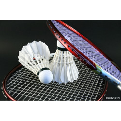 Raquette de badminton et volant