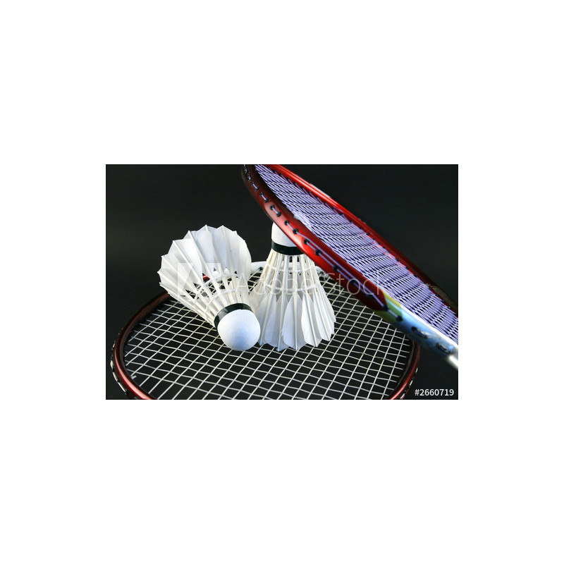Raquette de badminton et volant