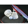 Raquette de badminton et volant