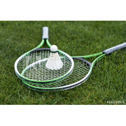 Badminton racchetta e volano