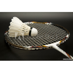 Raquette de badminton et volant