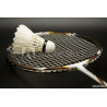 Raquette de badminton et volant