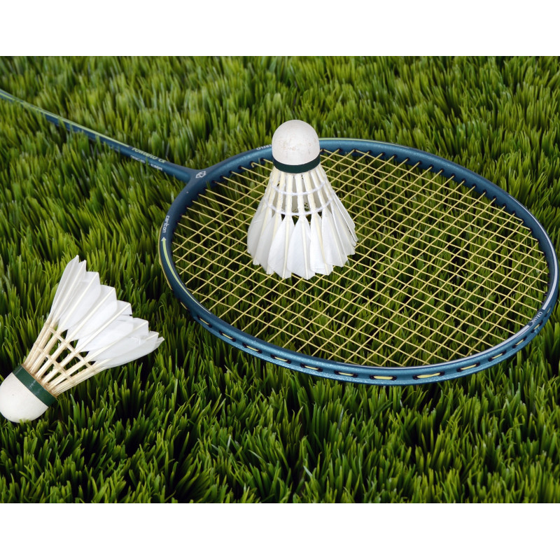 Raquette de badminton et volant