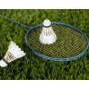 Badminton racchetta e volano
