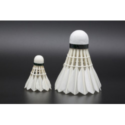 مضرب تنس الريشة والريشة