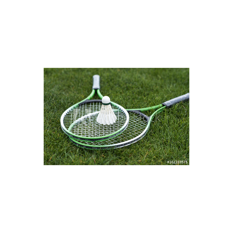 مضرب تنس الريشة والريشة