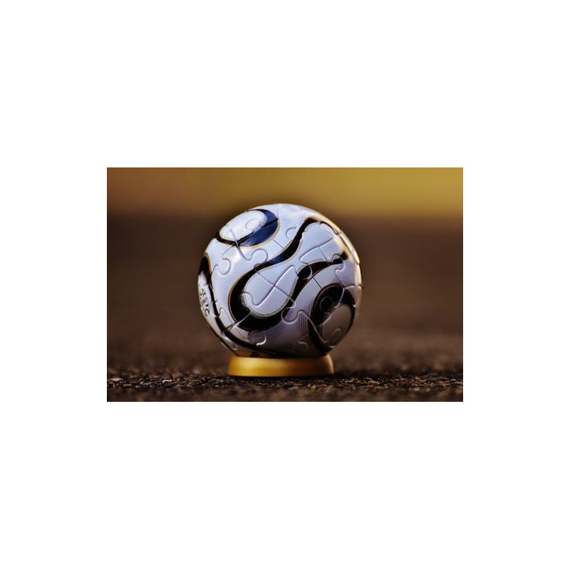 White and Black Soccer Ball