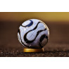 Blanc et noir Ballon de football