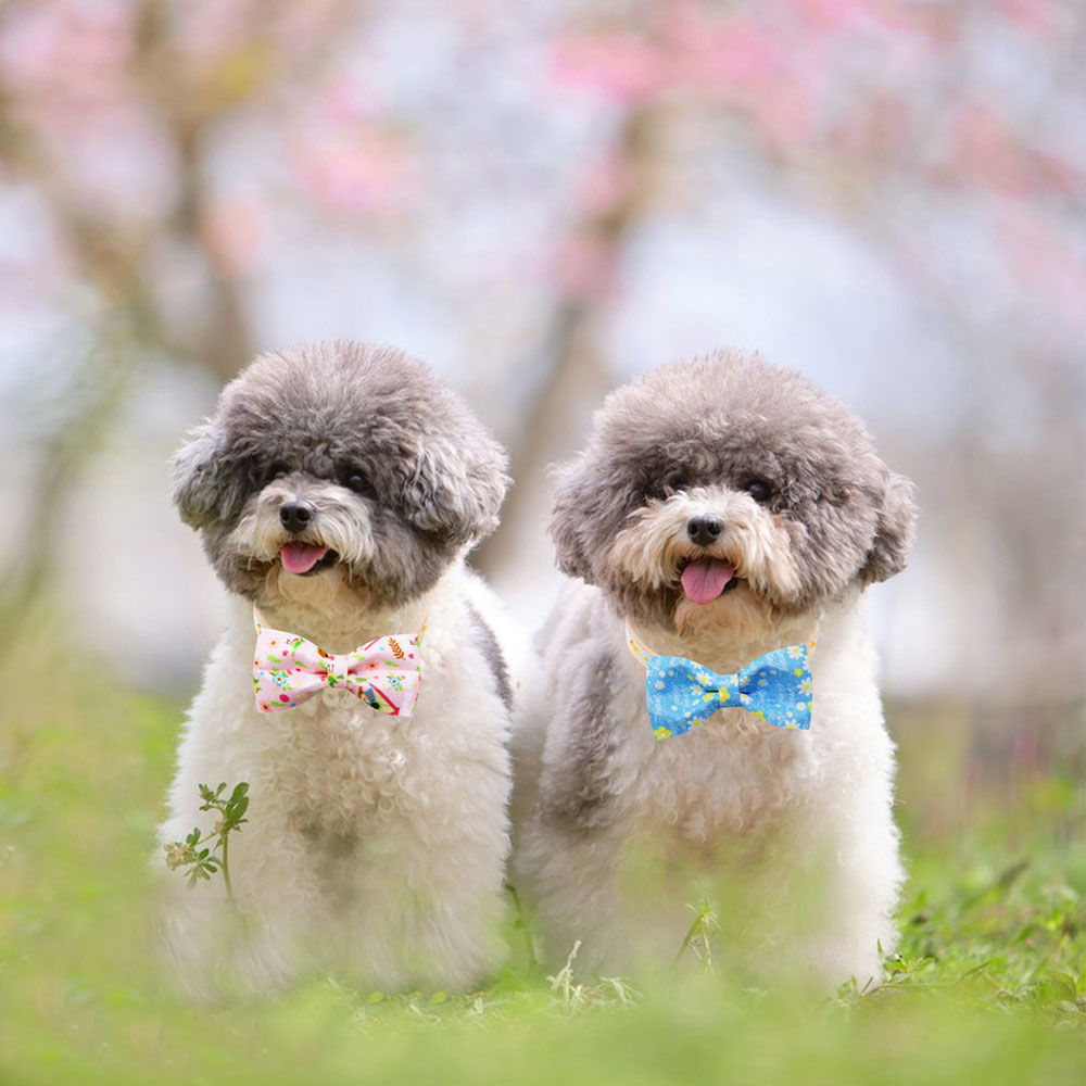 10PCS Dog Bows With Elastic Bands Spring Print Collars For Small Dogs and Cats Movable Pet Dog Bowties Neckties Pet Supplies